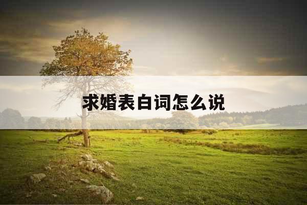 求婚表白词怎么说