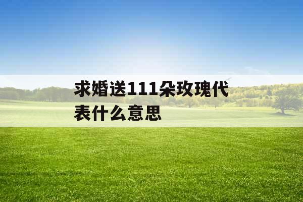 求婚送111朵玫瑰代表什么意思