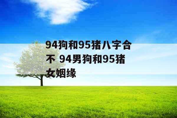 94狗和95猪八字合不 94男狗和95猪女姻缘
