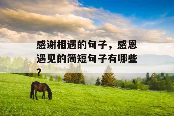 感谢相遇的句子,感恩遇见的简短句子有哪些? 感谢相遇的句子,感恩遇见的简短句子有哪些?