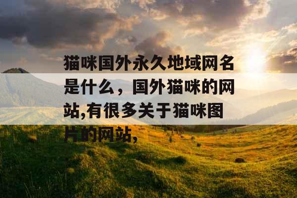 猫咪国外永久地域网名是什么,国外猫咪的网站,有很多关于猫咪图片的网站, 猫咪国外永久地域网名是什么,国外猫咪的网站,有很多关于猫咪图片的网站,