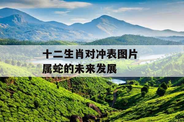 十二生肖对冲表图片 属蛇的未来发展