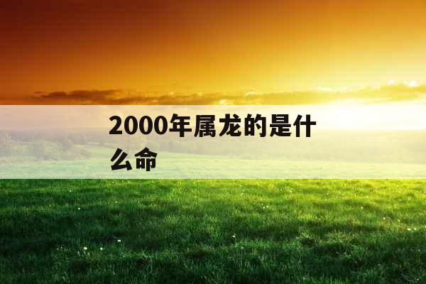 2000年属龙的是什么命