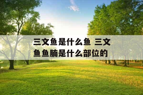 三文鱼是什么鱼 三文鱼鱼腩是什么部位的