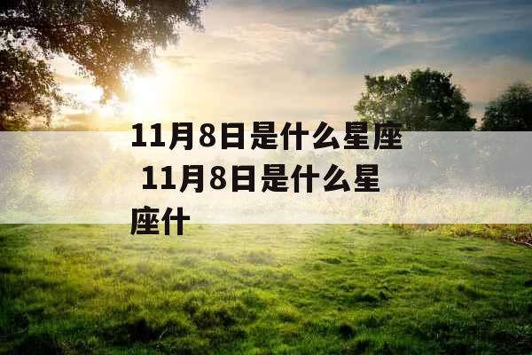 11月8日是什么星座 11月8日是什么星座什