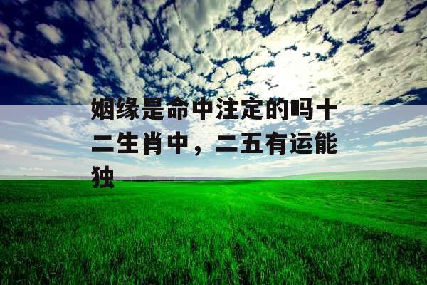 姻缘是命中注定的吗十二生肖中，二五有运能独