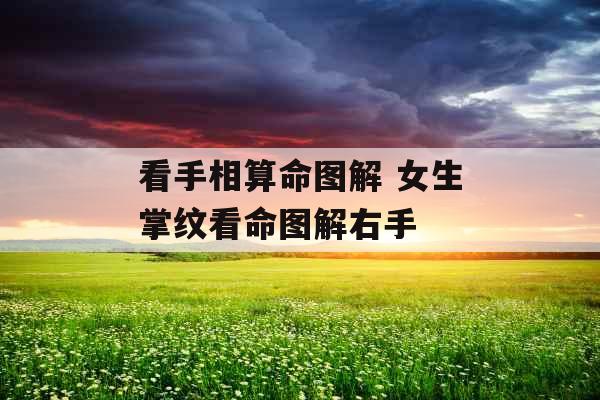 看手相算命图解 女生掌纹看命图解右手 看手相算命图解 女生掌纹看命图解右手