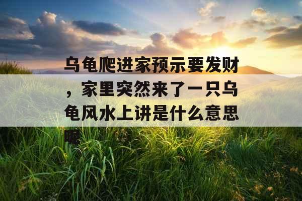 乌龟爬进家预示要发财，家里突然来了一只乌龟风水上讲是什么意思呢