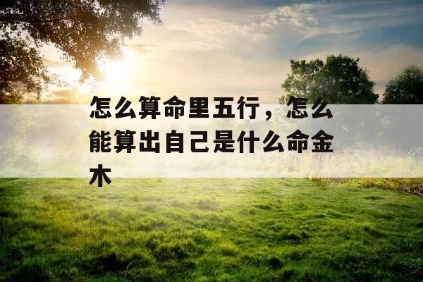 怎么算命里五行，怎么能算出自己是什么命金木