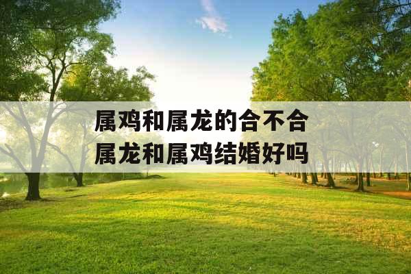 属鸡和属龙的合不合 属龙和属鸡结婚好吗