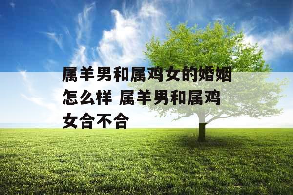 属羊男和属鸡女的婚姻怎么样 属羊男和属鸡女合不合