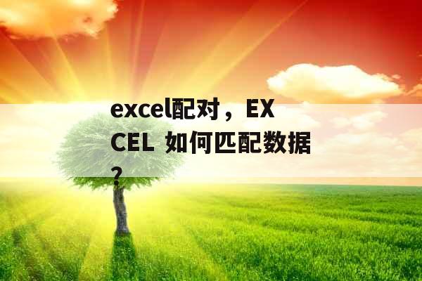 excel配对，EXCEL 如何匹配数据？