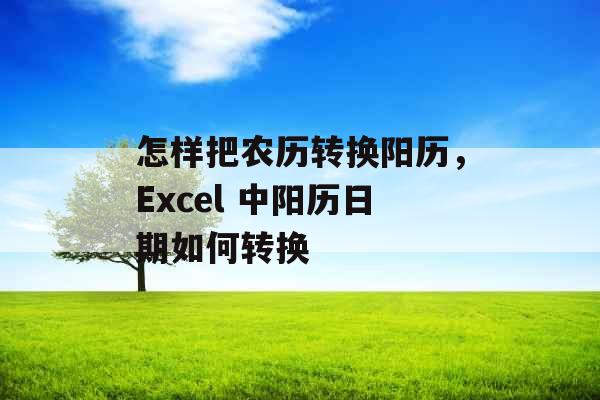 怎样把农历转换阳历，Excel 中阳历日期如何转换