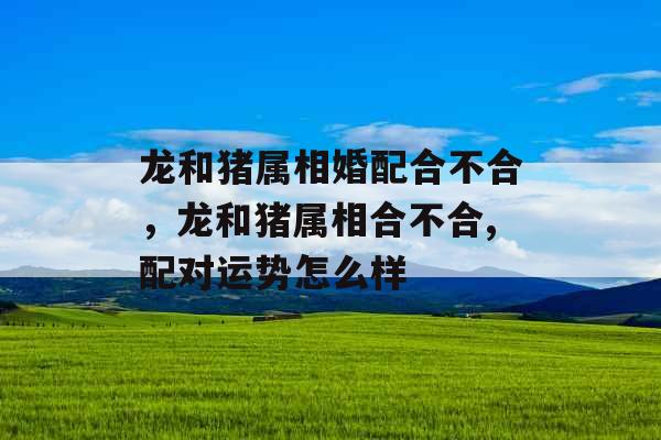 龙和猪属相婚配合不合,龙和猪属相合不合,配对运势怎么样 龙和猪属相婚配合不合,龙和猪属相合不合,配对运势怎么样