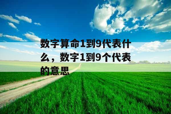 数字算命1到9代表什么，数字1到9个代表的意思