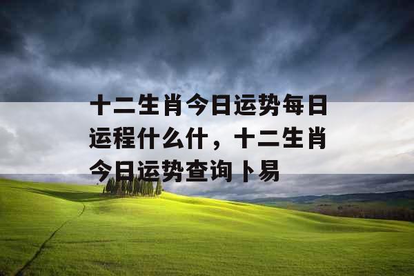 十二生肖今日运势每日运程什么什，十二生肖今日运势查询卜易