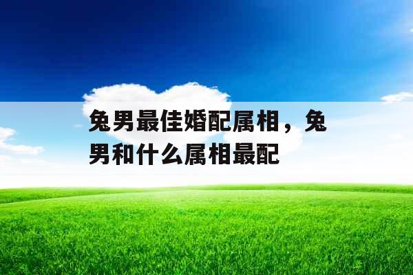 兔男最佳婚配属相,兔男和什么属相最配 兔男最佳婚配属相,兔男和什么属相最配
