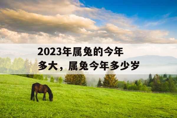 2023年属兔的今年多大,属兔今年多少岁