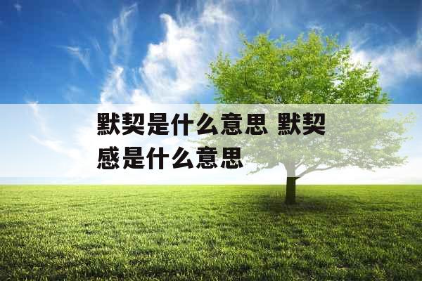 默契是什么意思 默契感是什么意思