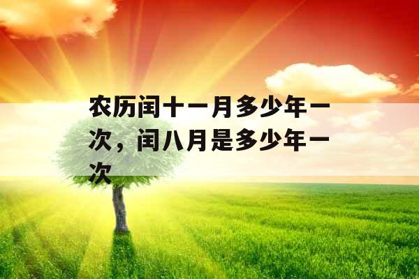 农历闰十一月多少年一次，闰八月是多少年一次