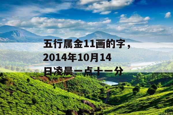 五行属金11画的字，2014年10月14日凌晨一点十一分