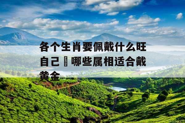 各个生肖要佩戴什么旺自己 哪些属相适合戴黄金