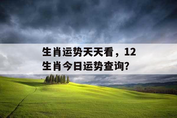 生肖运势天天看，12生肖今日运势查询？