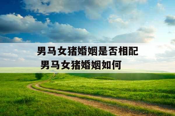 男马女猪婚姻是否相配 男马女猪婚姻如何