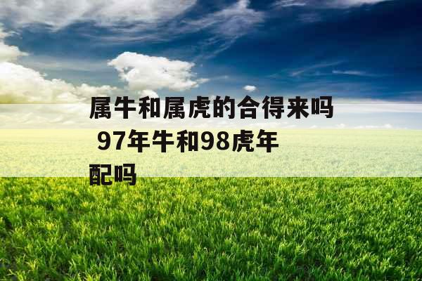 属牛和属虎的合得来吗 97年牛和98虎年配吗
