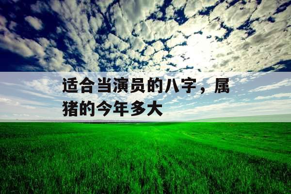 适合当演员的八字，属猪的今年多大