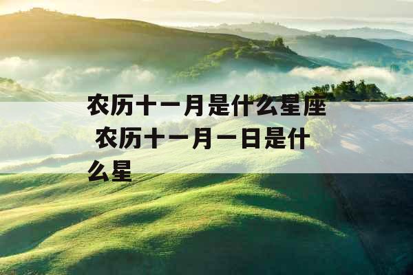 农历十一月是什么星座 农历十一月一日是什么星