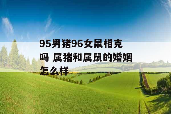 95男猪96女鼠相克吗 属猪和属鼠的婚姻怎么样