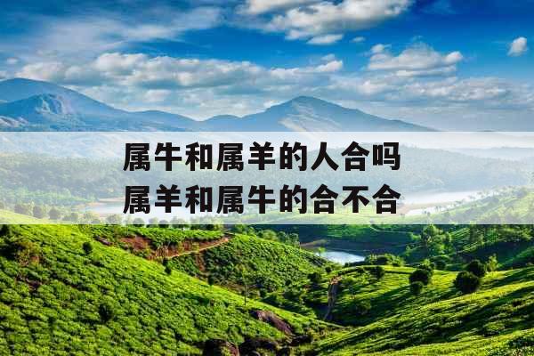 属牛和属羊的人合吗 属羊和属牛的合不合