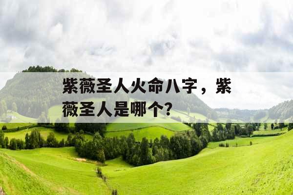 紫薇圣人火命八字,紫薇圣人是哪个?