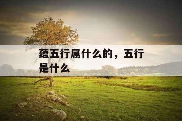 蕴五行属什么的，五行是什么