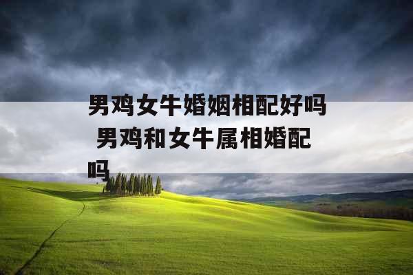 男鸡女牛婚姻相配好吗 男鸡和女牛属相婚配吗