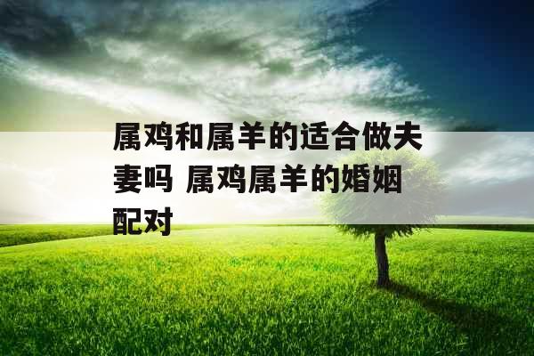 属鸡和属羊的适合做夫妻吗 属鸡属羊的婚姻配对