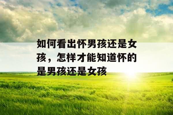 如何看出怀男孩还是女孩，怎样才能知道怀的是男孩还是女孩