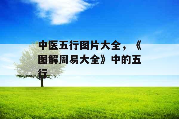 中医五行图片大全，《图解周易大全》中的五行