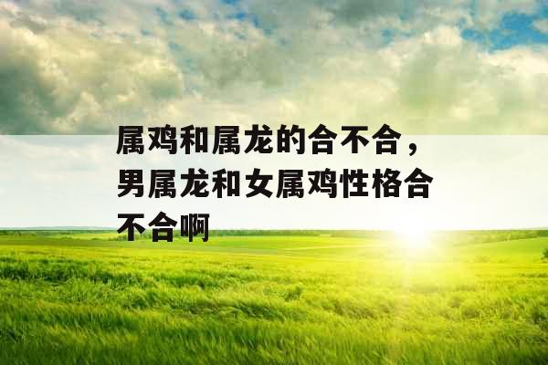 属鸡和属龙的合不合，男属龙和女属鸡性格合不合啊