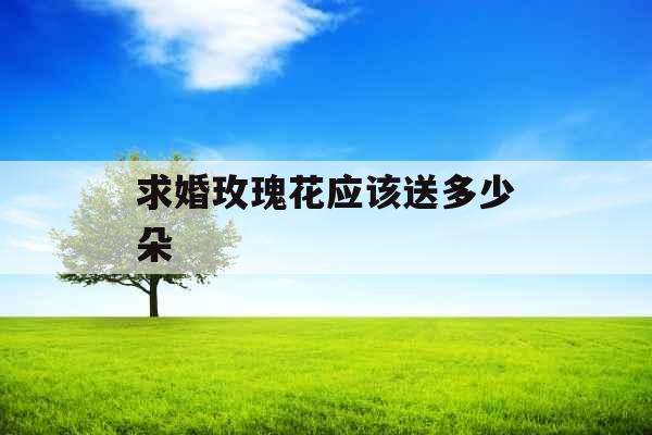 求婚玫瑰花应该送多少朵 求婚玫瑰花应该送多少朵