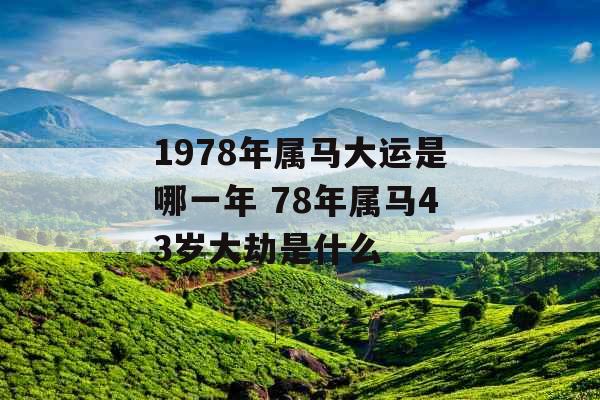1978年属马大运是哪一年 78年属马43岁大劫是什么 1978年属马大运是哪一年 78年属马43岁大劫是什么