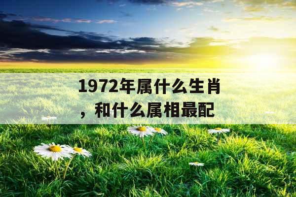 1972年属什么生肖，和什么属相最配