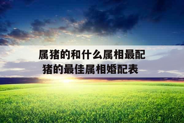 属猪的和什么属相最配 猪的最佳属相婚配表 属猪的和什么属相最配 猪的最佳属相婚配表