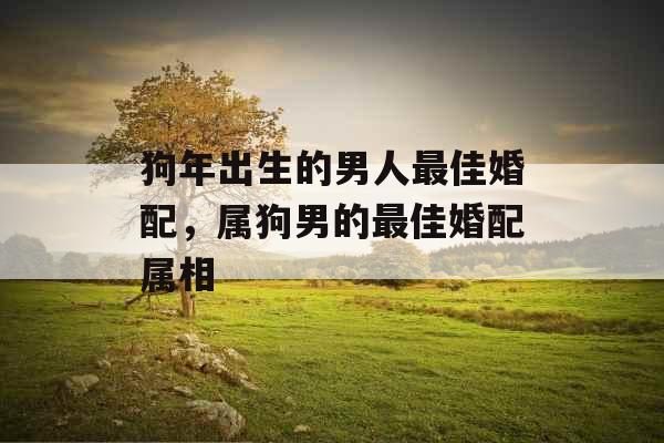 狗年出生的男人最佳婚配，属狗男的最佳婚配属相