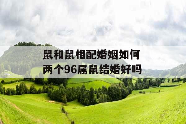 鼠和鼠相配婚姻如何 两个96属鼠结婚好吗 鼠和鼠相配婚姻如何 两个96属鼠结婚好吗