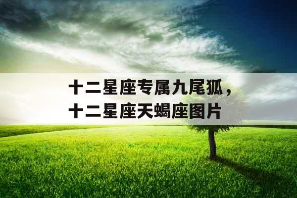 十二星座专属九尾狐，十二星座天蝎座图片