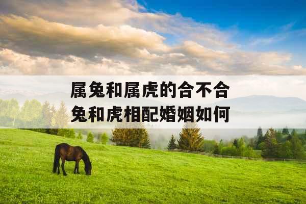 属兔和属虎的合不合 兔和虎相配婚姻如何 属兔和属虎的合不合 兔和虎相配婚姻如何