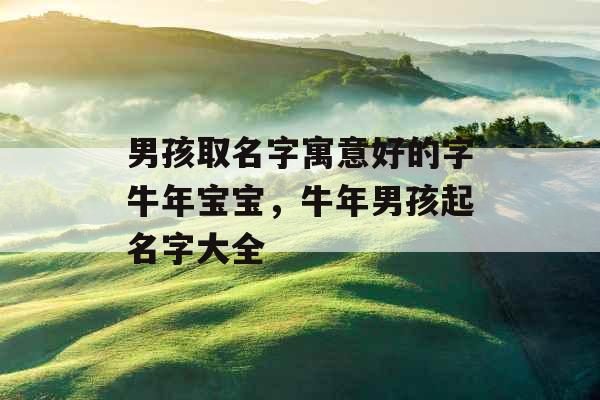 男孩取名字寓意好的字牛年宝宝，牛年男孩起名字大全