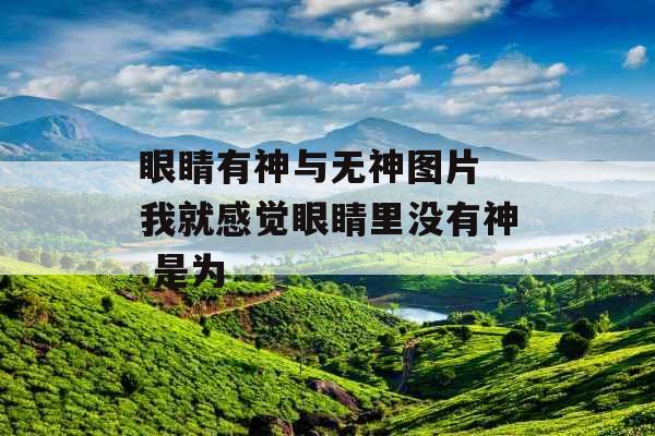 眼睛有神与无神图片 我就感觉眼睛里没有神.是为